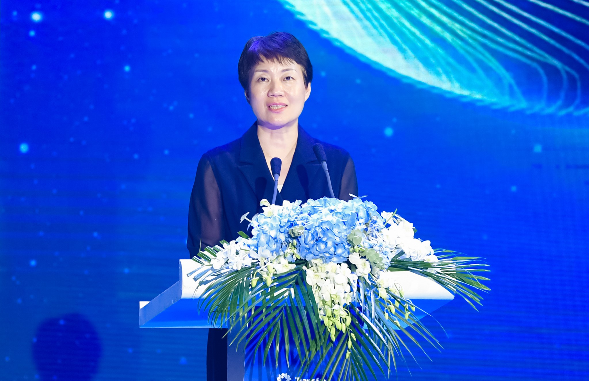 杭州市委副書記、蕭山區委書記 佟桂莉.jpg