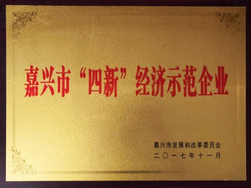 嘉興市“四新”經(jīng)濟示范企業(yè)